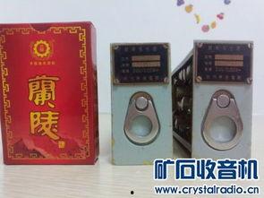 国产精品入,匠心独运，引领时代潮流的青春成长记